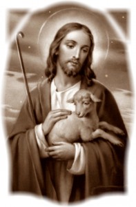 Read The Bible