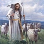 Read The Bible