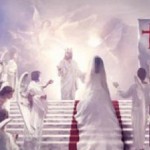 Read The Bible